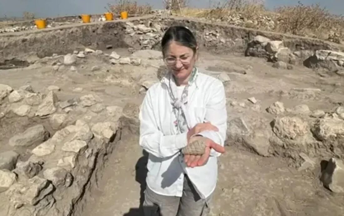 Külhöyük Kazılarında 66 Milyon Yıllık Fosil Keşfi